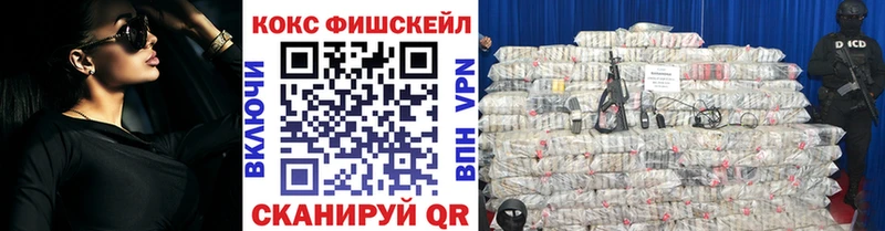 COCAIN Fish Scale Нижний Ломов