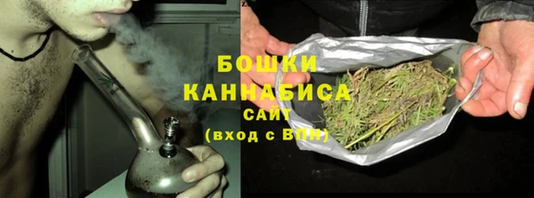 PSILOCYBIN Навашино