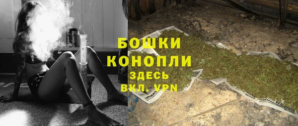 PSILOCYBIN Навашино